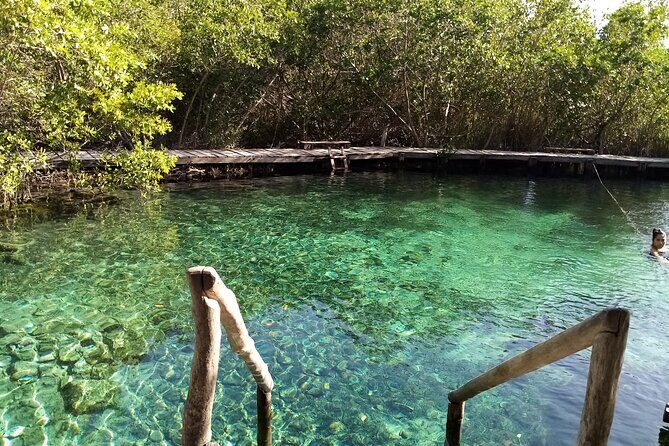 Full Day Excursion to the Best of Holbox From Riviera Maya - Who Will Love This Tour?