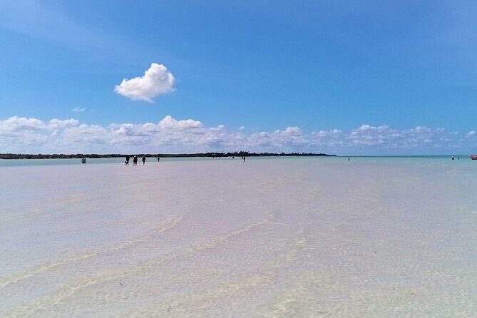 Full Day Excursion to the Best of Holbox From Riviera Maya - Final Thoughts