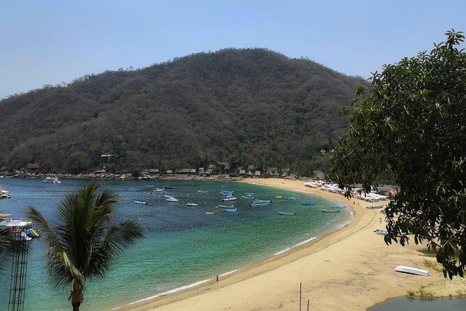 Full-Day Experience in Banderas Bay - The Bottom Line: Who Is This Tour Best For?