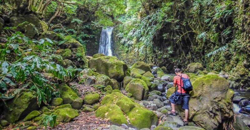 Full-Day Faial da Terra + Nordeste from Ponta Delgada - Key Points