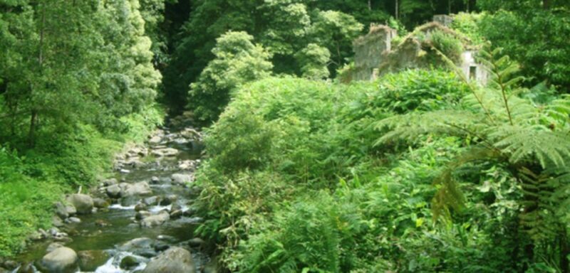 Full-Day Faial da Terra + Nordeste from Ponta Delgada - An In-Depth Look at the Tour