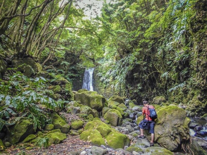 Full-Day Faial da Terra + Nordeste from Ponta Delgada - How the Tour Feels in Practice