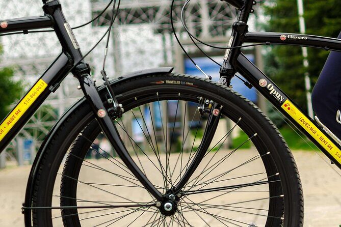 Full Day Family Bike Rental - Key Points