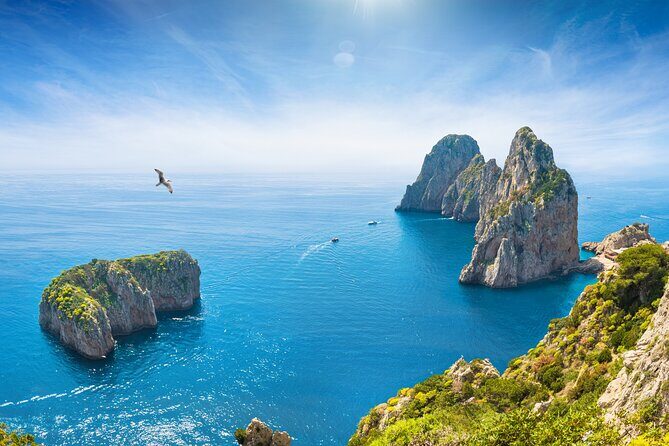 Full Day Fishing Experience in Capri from Sorrento - Final Thoughts