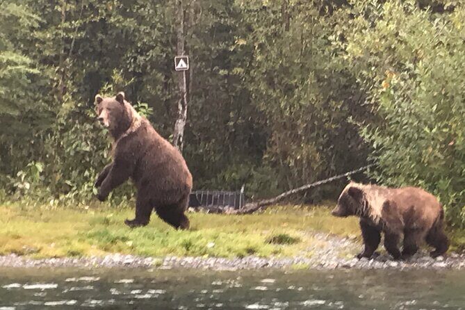 Full day fishing trips - Full Day Fishing Trips on the Kenai River: An Honest Look