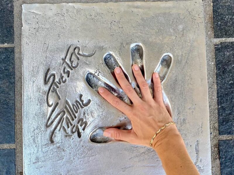 Full day French Riviera Panorama Tour - What Is the Full Day French Riviera Panorama Tour?