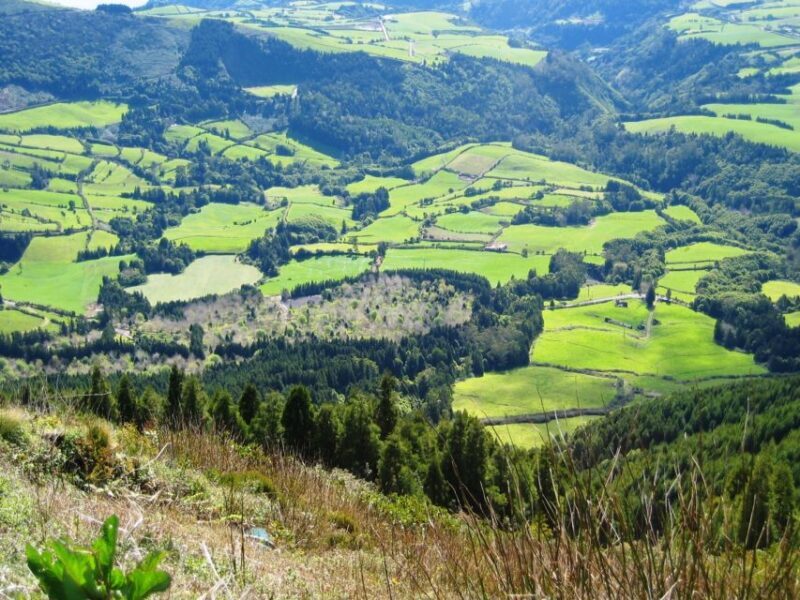 Full-Day Furnas Azores 4x4 Tour from Ponta Delgada - Final Thoughts