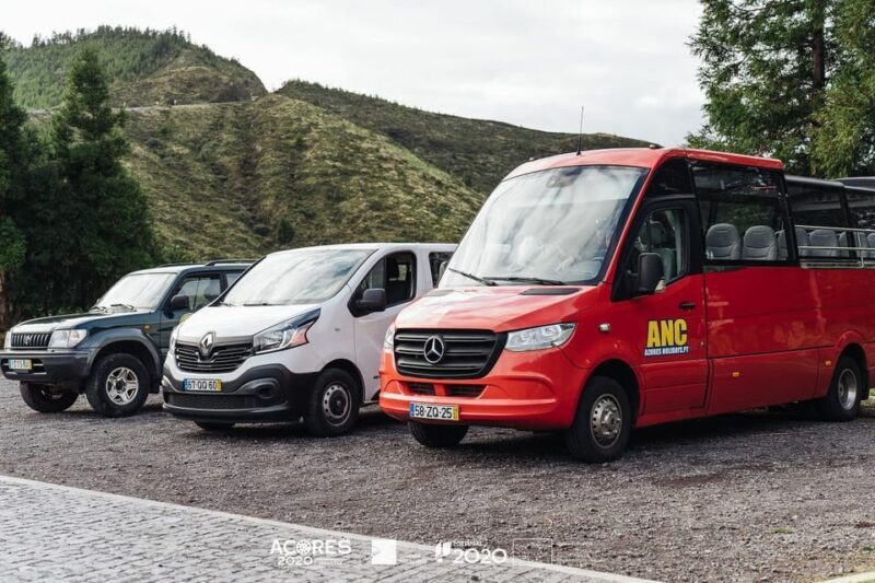 Full day Furnas | Hotsprings | Thermal Baths | Tea Factory - Who Is This Tour Best For?