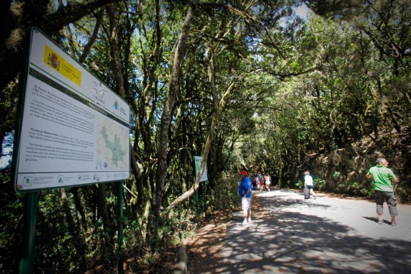 Full-Day Gomera Jeep Safari Excursion from Arona - The Itinerary: What You Can Expect