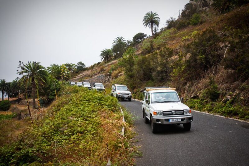 Full-Day Gomera Jeep Safari Excursion from Arona - Who Is This Tour Best For?