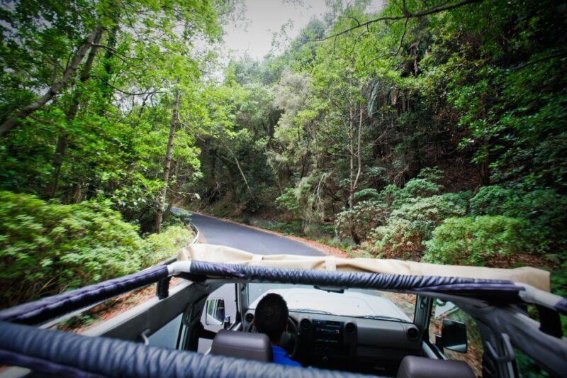 Full-Day Gomera Jeep Safari Excursion from Arona - FAQ about the Gomera Jeep Safari
