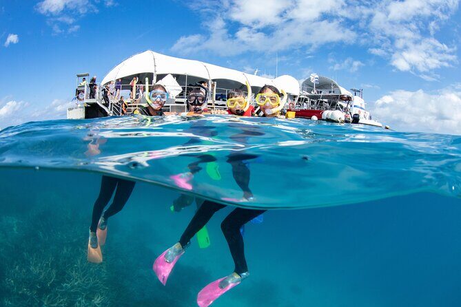 Full-Day Great Barrier Reef Pontoon with Snorkeling & Activities - The Tour at a Glance: What to Expect