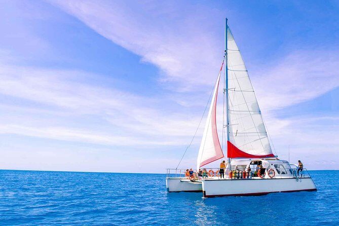 Full-Day Great Barrier Reef Sailing Trip from Cairns - The Price & Value