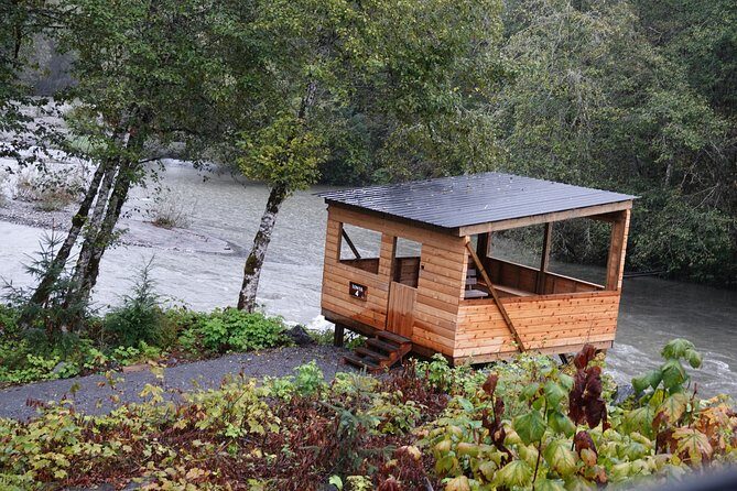 Full Day Grizzly Bear Tour to Toba Inlet - Final Thoughts