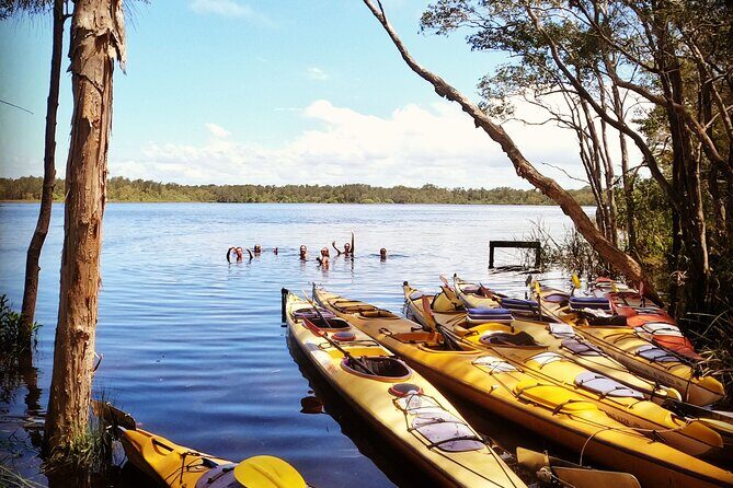 Full-Day Guided Noosa Everglades Kayak Tour - Practical Tips & What to Bring
