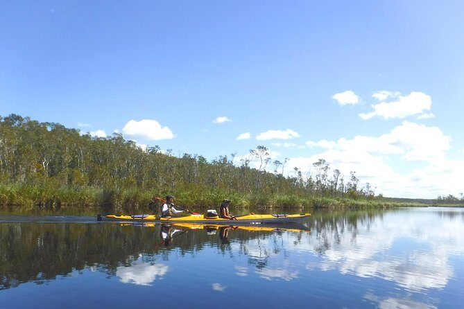 Full-Day Guided Noosa Everglades Kayak Tour - FAQs