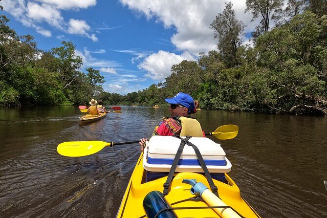 Full-Day Guided Noosa Everglades Kayak Tour - Final Thoughts