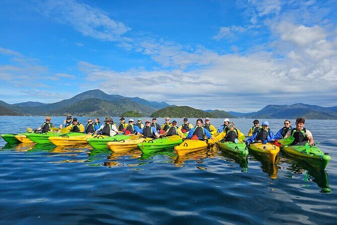 Full day Guided Sea Kayak Tour from Picton - Itinerary Breakdown