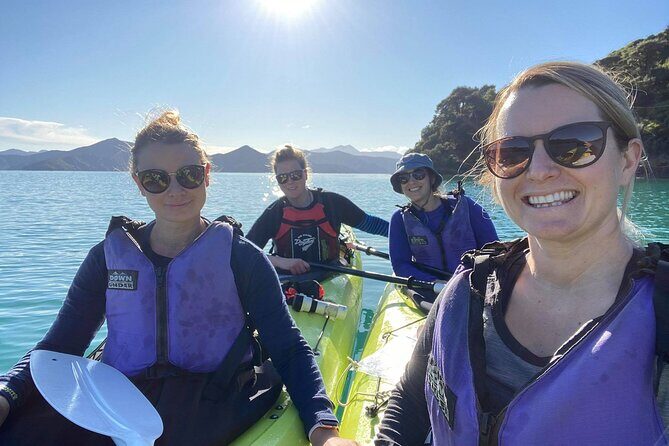 Full-Day Guided Sea Kayak Trip from Picton - Key Points