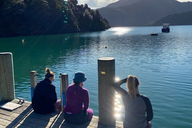 Full-Day Guided Sea Kayak Trip from Picton - What to Expect on the Day