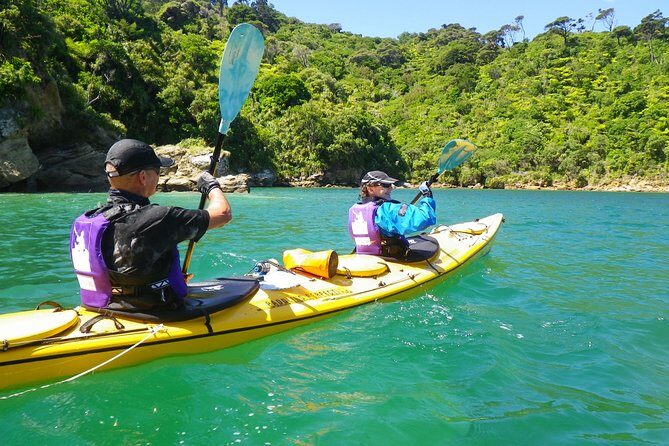Full-Day Guided Sea Kayak Trip from Picton - Is This Tour for You?