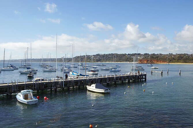 Full-Day Guided Tour on the Beautiful Mornington Peninsula. - Who Is This Tour Best For?