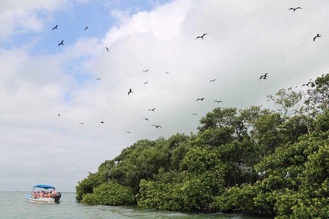 Full Day Guided Tour to Sian Ka'an (short way) - Considerations Before Booking