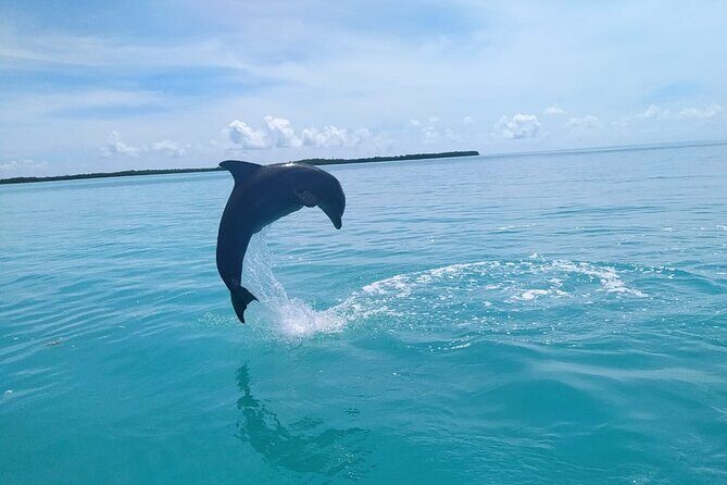 Full Day Guided Tour to Sian Ka'an (short way) - Final Thoughts