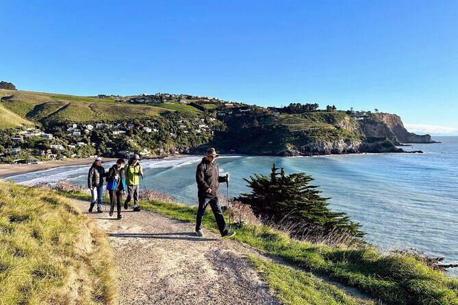 Full Day Guided Walking Tour and Picnic around Godley Head - The Experience in Detail