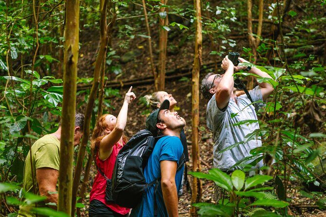 Full-Day Hakalau Forest Reserve Bird Watching Adventure - FAQ