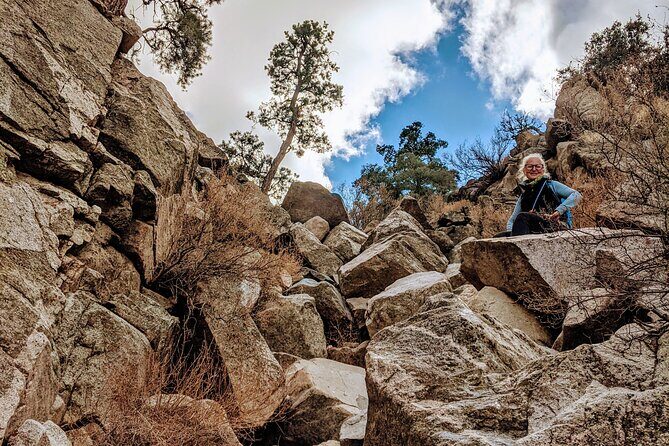 Full Day Hike in Joshua Tree National Park - The Sum Up