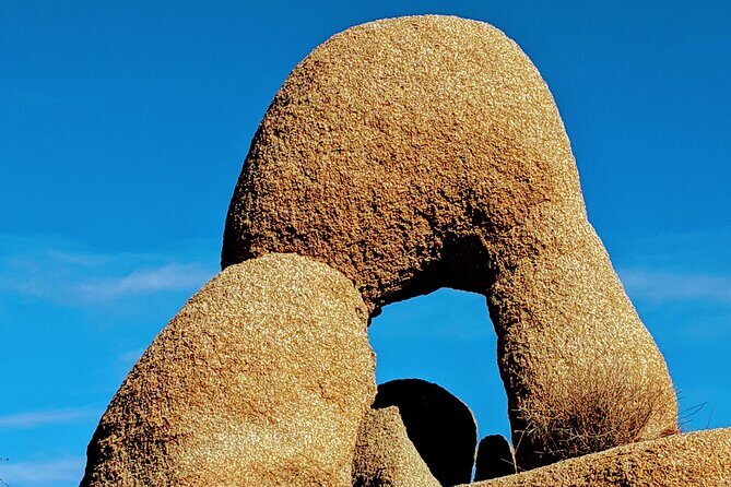 Full Day Hike in Joshua Tree National Park - FAQ