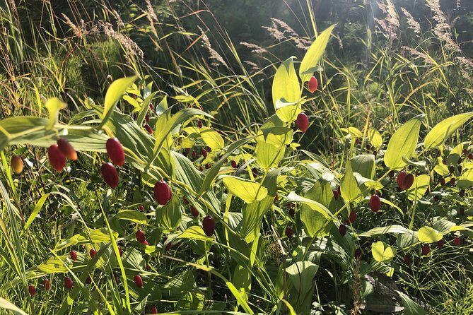 Full day Hiking Adventure - Breakdown of the Itinerary