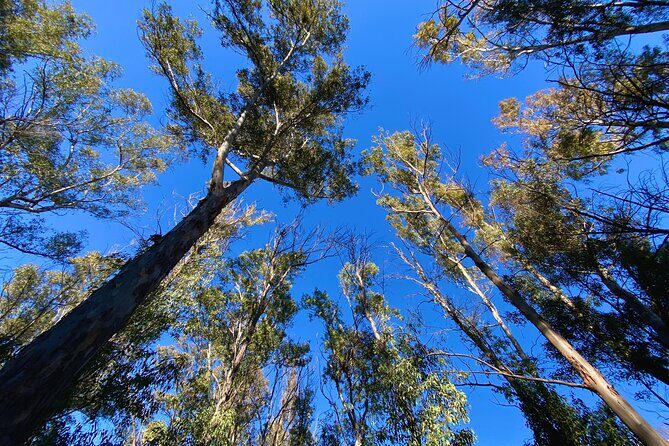 Full-day Hiking at Ruta the Aqua across Pena Cortada - The Real Deal: What Travelers Say