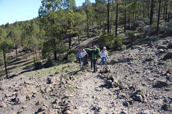 Full day Hiking Gran Canaria Peaks of Gran Canaria - The Sum Up