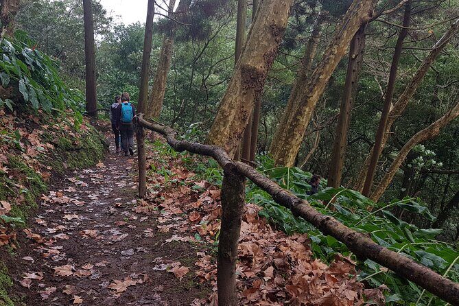 Full Day Hiking Trail Waterfalls- in Lomba de São Pedro - Azores - Key Points