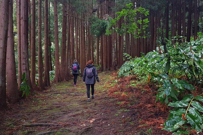 Full Day Hiking Trail Waterfalls- in Lomba de São Pedro - Azores - The Sum Up