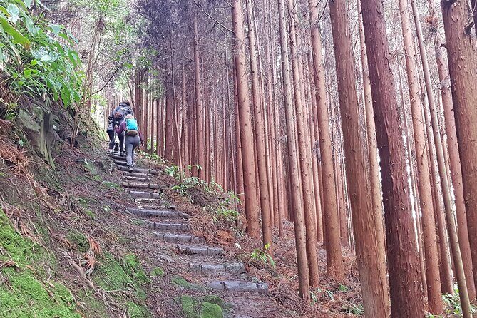 Full Day Hiking Trail Waterfalls- in Lomba de São Pedro - Azores - FAQ