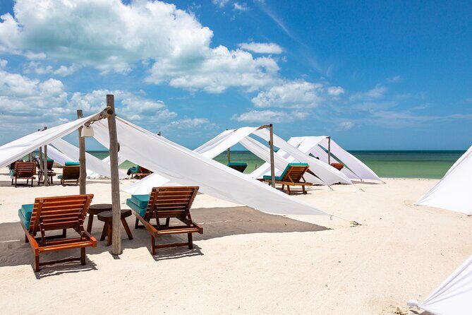 Full-Day Holbox Island Boat and Buggy Tour with Lunch - What to Expect from the Itinerary