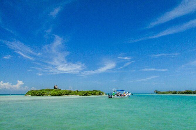 Full Day Holbox Island Tour from Playa del Carmen with Lunch - Frequently Asked Questions