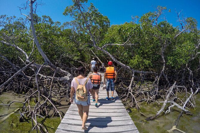 Full Day Holbox Island Tour from Playa del Carmen with Lunch - Frequently Asked Questions