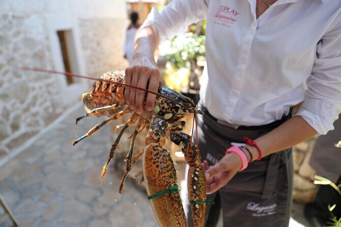 Full-Day Hvar & Pakleni Islands Speedboat Private Tour from Split - Final Thoughts