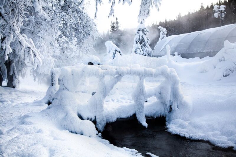 Full Day Ice Museum and Chena Hot Springs Tour - Final Thoughts