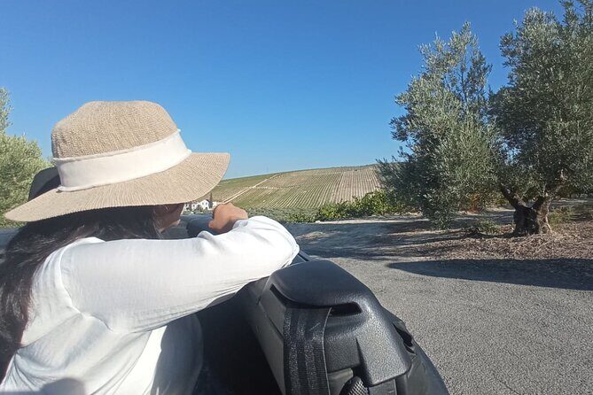 Full day in Cordoba between Vineyards and Olive Trees with a Convertible Car - What Travelers Are Saying