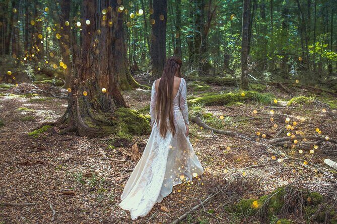 Full Day in Middle Earth - Lord of the Rings Tour - An In-Depth Look at the Tour Experience