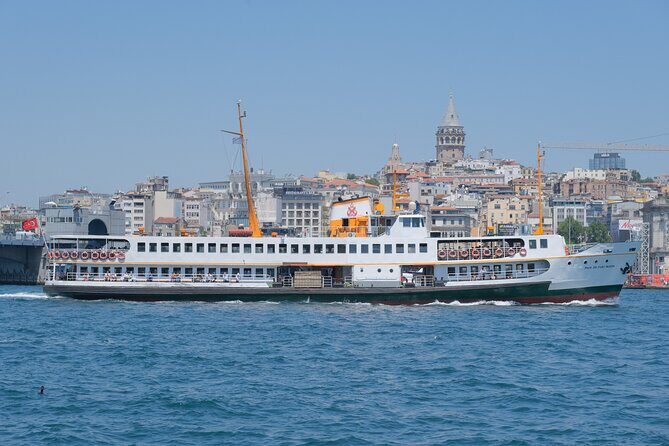Full Day Istanbul Bosphorus Cruise and Dolmabahce Palace Tour with Private Guide - Insights from Travelers