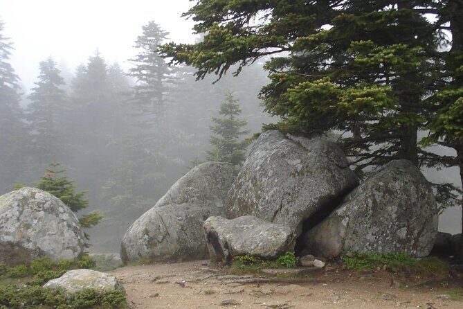 Full-Day Istanbul to Bursa Excursion With Cable Car - What to Expect from the Full-Day Bursa Tour