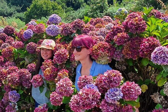 Jeep Tour Amazing West to Natural Pools -Full-Day - Booking Details and Cancellation