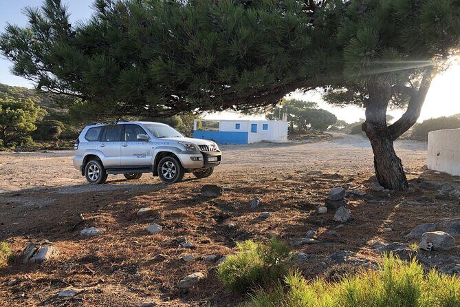 Full-Day Jeep Safari in Kos and Kefalos with Lunch - Exploring the Full-Day Jeep Safari in Kos and Kefalos: An Honest Look