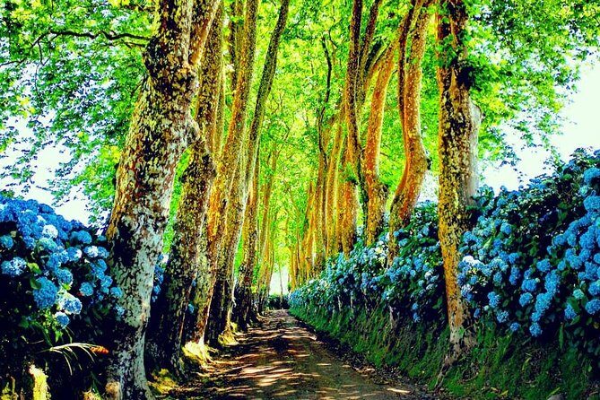 Full day jeep tour Nordeste with lunch included - The Details of the Nordeste Jeep Tour